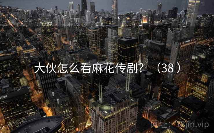 大伙怎么看麻花传剧？（38 ）